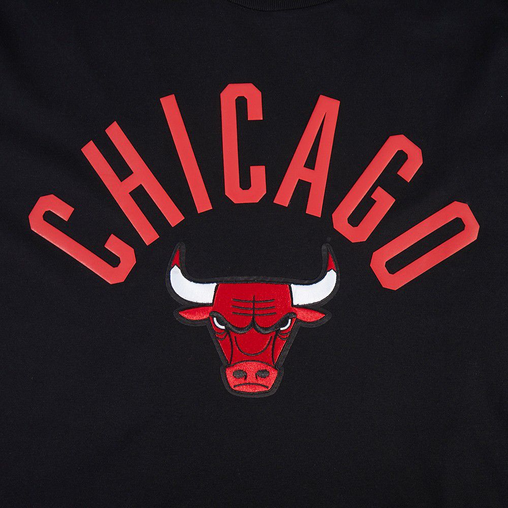 Pro Standard Men's Chicago Bulls Playback  T-Shirt product image