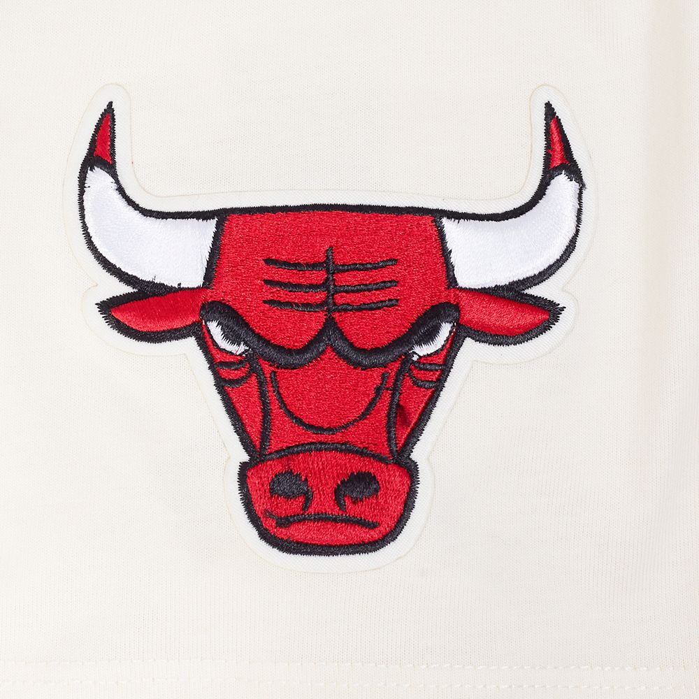 Pro Standard Men's Chicago Bulls Off White Script Drop Shoulder T-Shirt product image