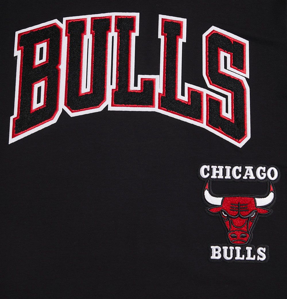 Pro Standard Adult Chicago Bulls Black Retro Striped T-Shirt product image
