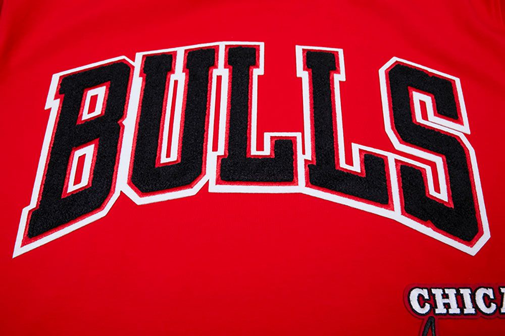 Pro Standard Adult Chicago Bulls Red Retro Striped T-Shirt product image