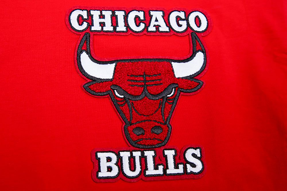 Pro Standard Adult Chicago Bulls Red Retro Striped T-Shirt product image