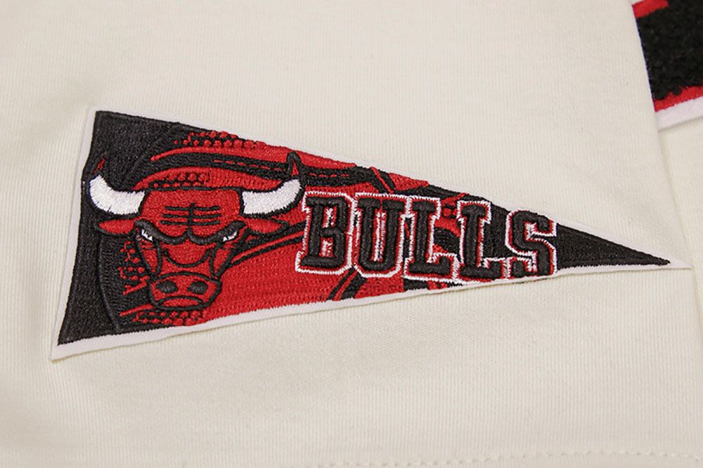 Pro Standard Adult Chicago Bulls White Retro T-Shirt product image