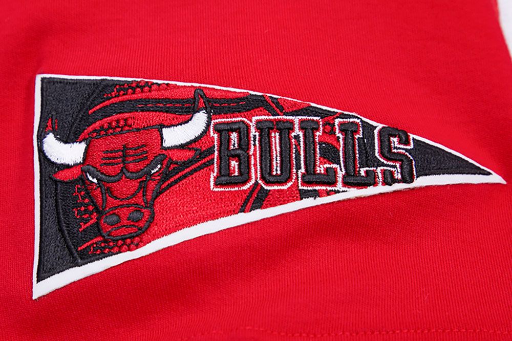 Pro Standard Adult Chicago Bulls Red Retro T-Shirt product image