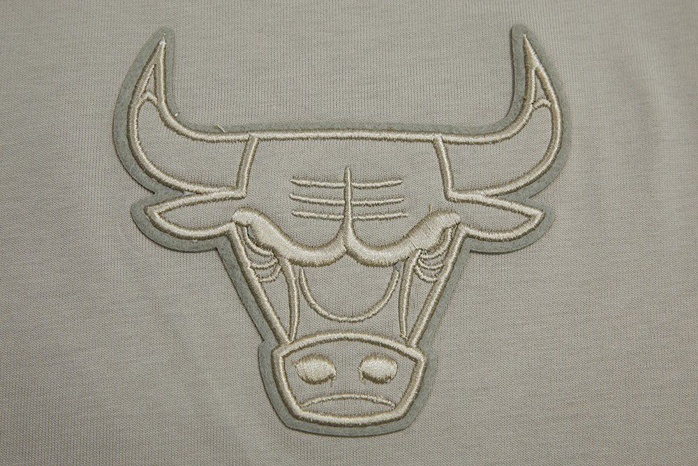 Pro Standard Men's Chicago Bulls Taupe Neutral Drop Shoulder Short Sleeve T-Shirt product image