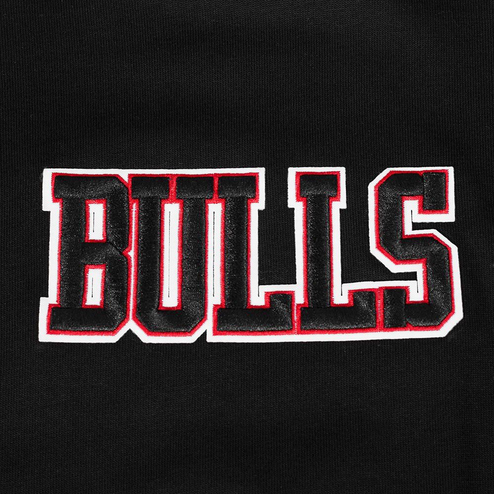 Pro Standard Men's Chicago Bulls Black Wingspan Drop Shoulder Long Sleeve T-Shirt product image