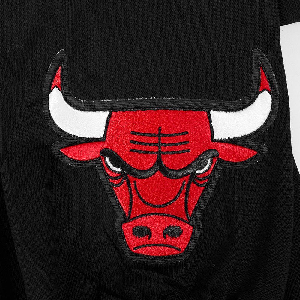 Pro Standard Men's Chicago Bulls Black Wingspan Drop Shoulder Long Sleeve T-Shirt product image