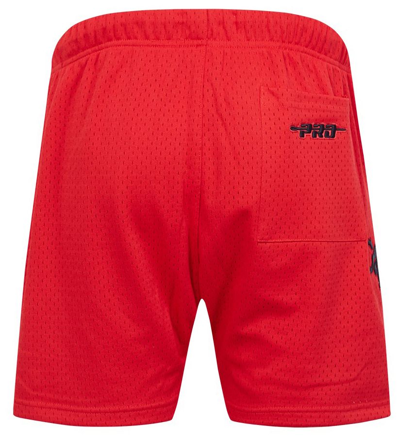 Pro Standard Men's Chicago Bulls Red Souvenir Mesh Shorts product image