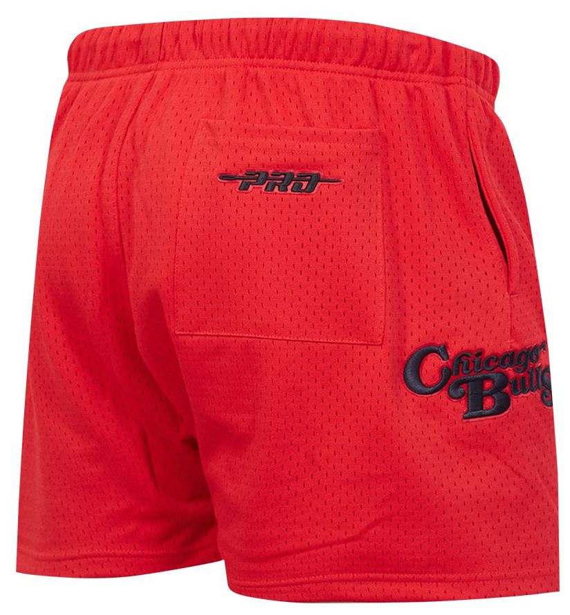 Pro Standard Men's Chicago Bulls Red Souvenir Mesh Shorts product image