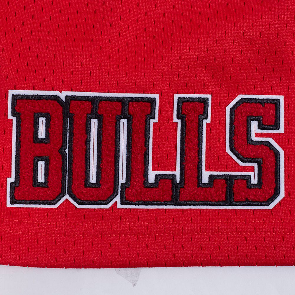 Pro Standard Men's Chicago Bulls Red Souvenir Mesh Shorts product image