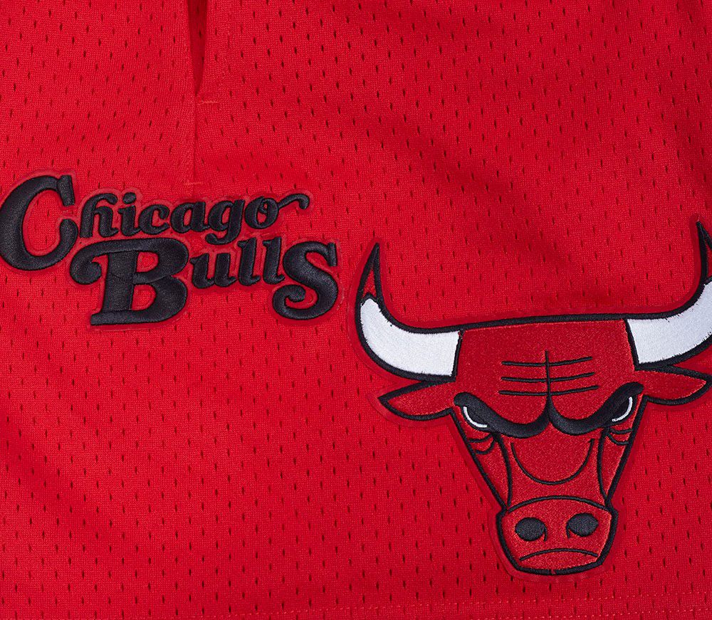 Pro Standard Men's Chicago Bulls Red Souvenir Mesh Shorts product image
