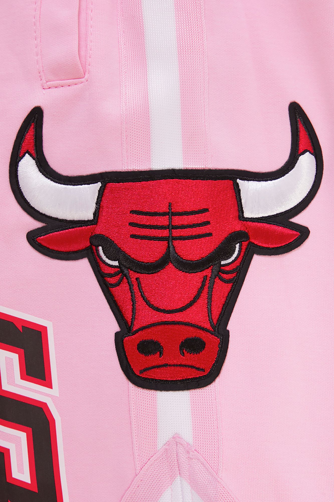 Pro Standard Men's Chicago Bulls Chenille Shorts product image