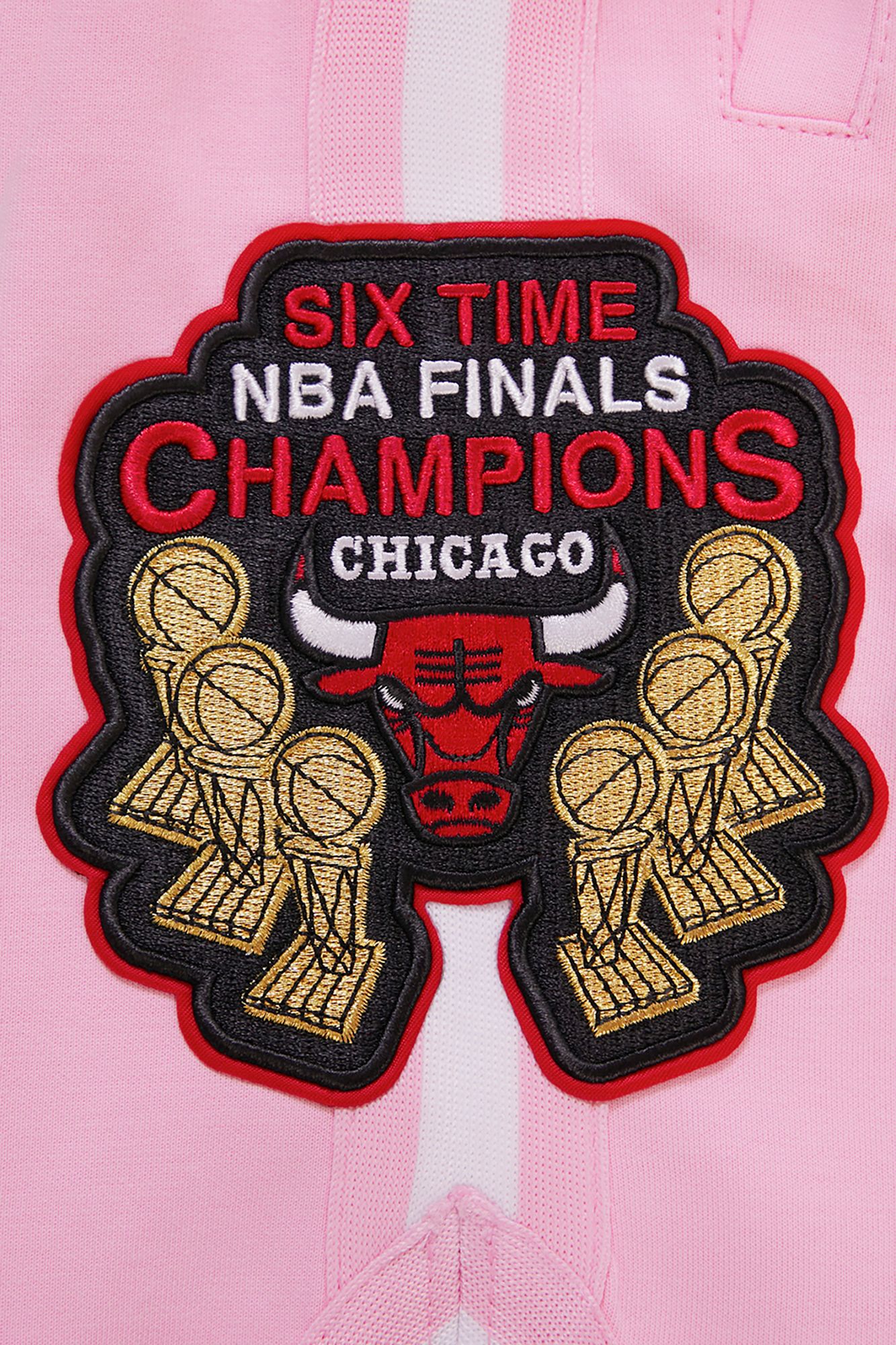 Pro Standard Men's Chicago Bulls Chenille Shorts product image