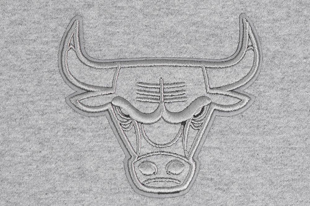 Pro Standard Men's Chicago Bulls Gray Neutral Fleece Shorts product image
