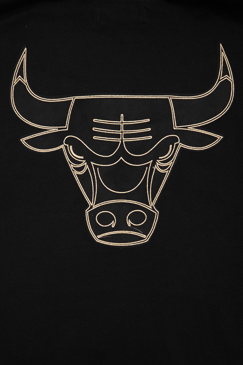 Pro Standard Men's Chicago Bulls Black 'Black and Gold' Hoodie product image