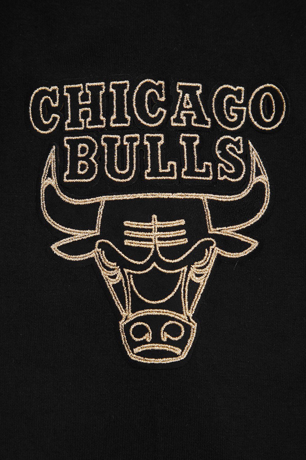 Pro Standard Men's Chicago Bulls Black 'Black and Gold' Hoodie product image