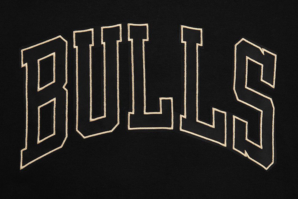 Pro Standard Men's Chicago Bulls Black 'Black and Gold' Hoodie product image