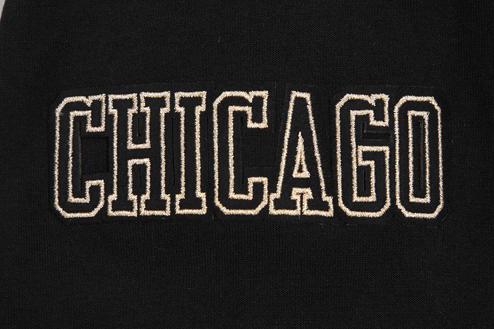 Pro Standard Men's Chicago Bulls Black 'Black and Gold' Hoodie product image