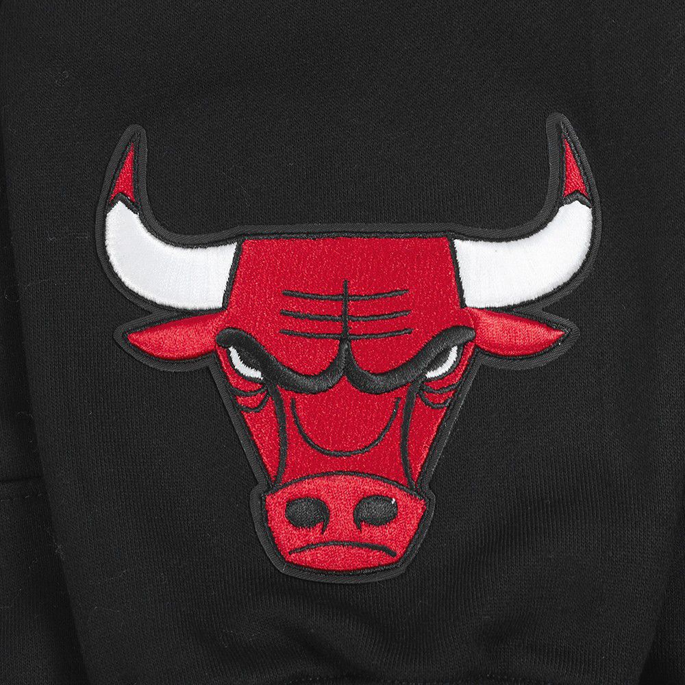 Pro Standard Men's Chicago Bulls Black Wingspan Drop Shoulder Hoodie product image