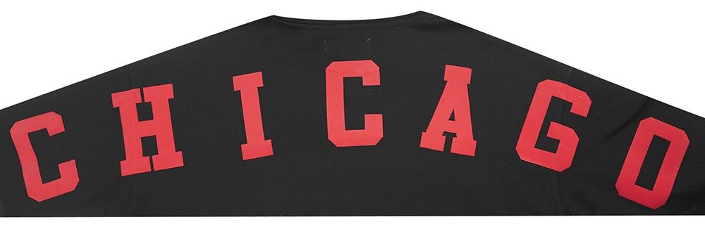 Pro Standard Men's Chicago Bulls Black Wingspan Drop Shoulder Hoodie product image