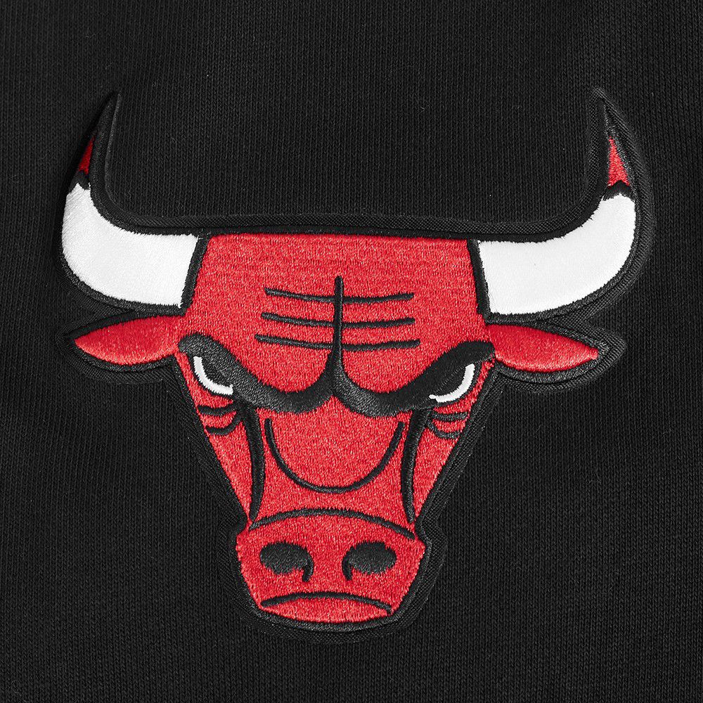 Pro Standard Men's Chicago Bulls Black Souvenir Fleece Pullover Hoodie product image