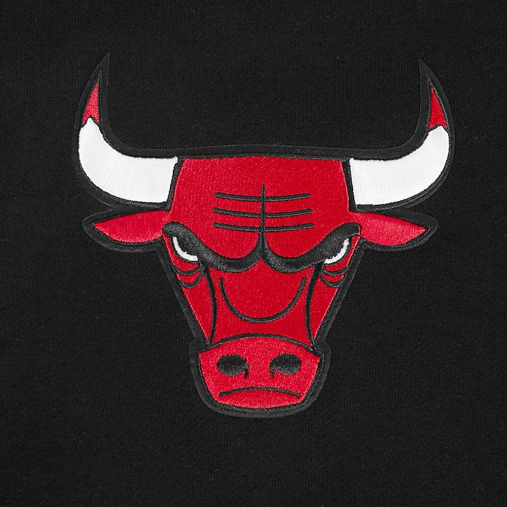 Pro Standard Men's Chicago Bulls Black Living Large Hoodie product image