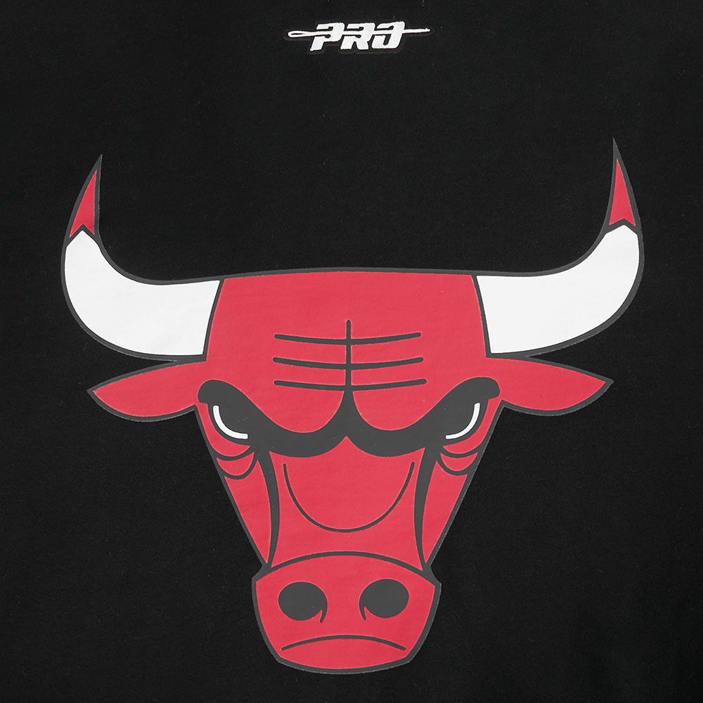 Pro Standard Men's Chicago Bulls Black Living Large Hoodie product image