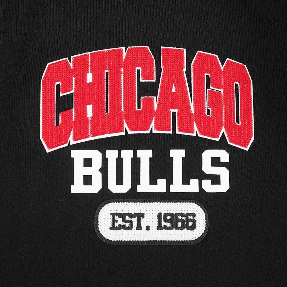 Pro Standard Men's Chicago Bulls Black Arch 1/4 Zip Pullover product image