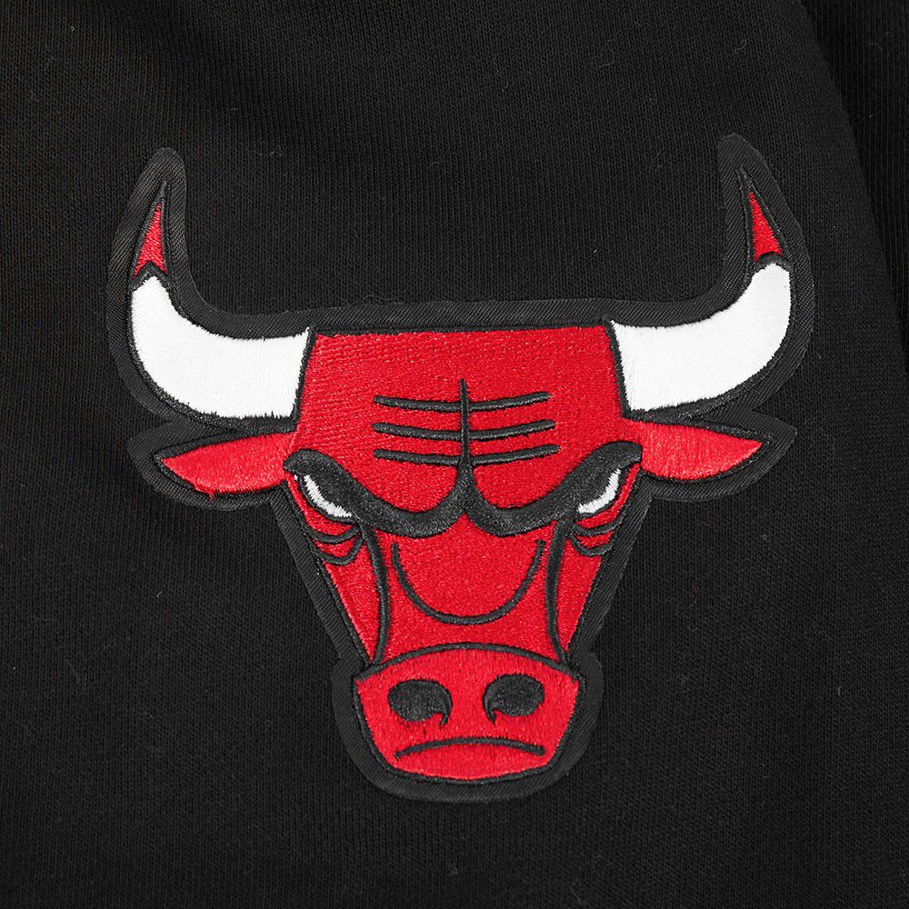Pro Standard Men's Chicago Bulls Black Arch 1/4 Zip Pullover product image