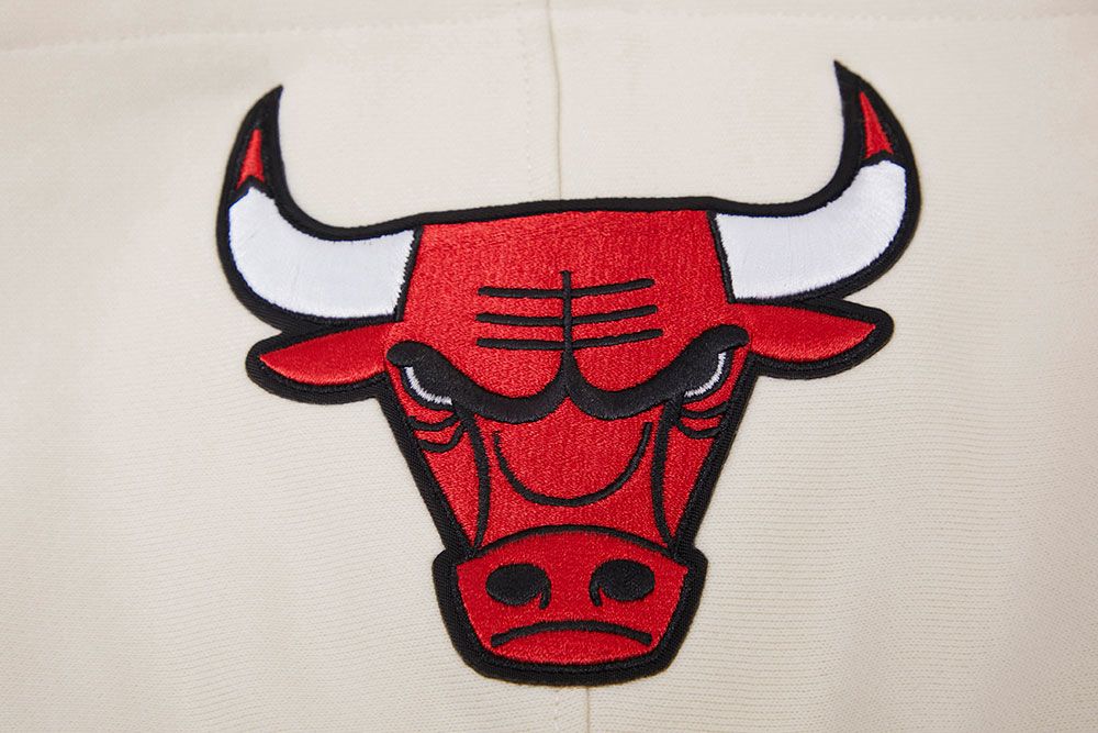 Pro Standard Adult Chicago Bulls White Retro Hoodie product image