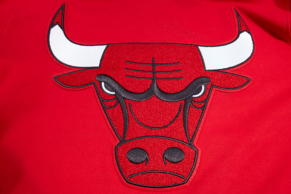 Pro Standard Adult Chicago Bulls Red Retro Hoodie product image