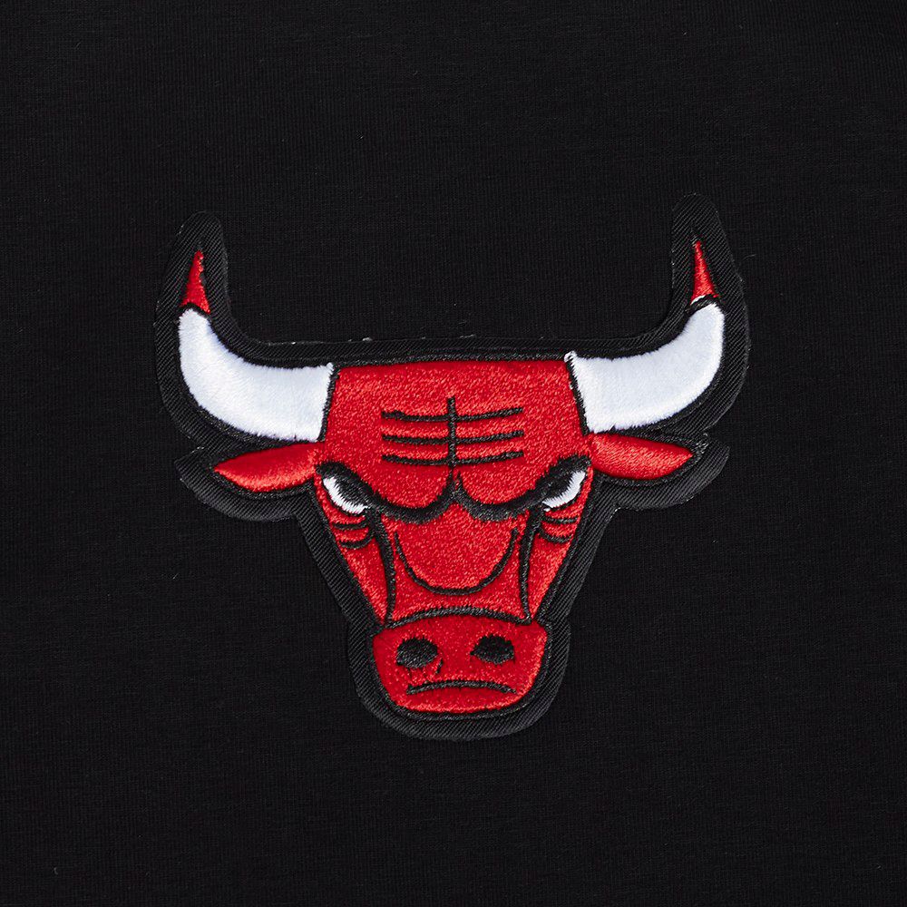 Pro Standard Women's Chicago Bulls Black Wingspan Boxy T-Shirt product image