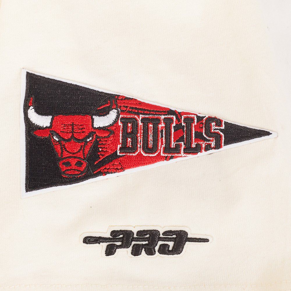 Pro Standard Youth Chicago Bulls Retro Classic T-Shirt product image