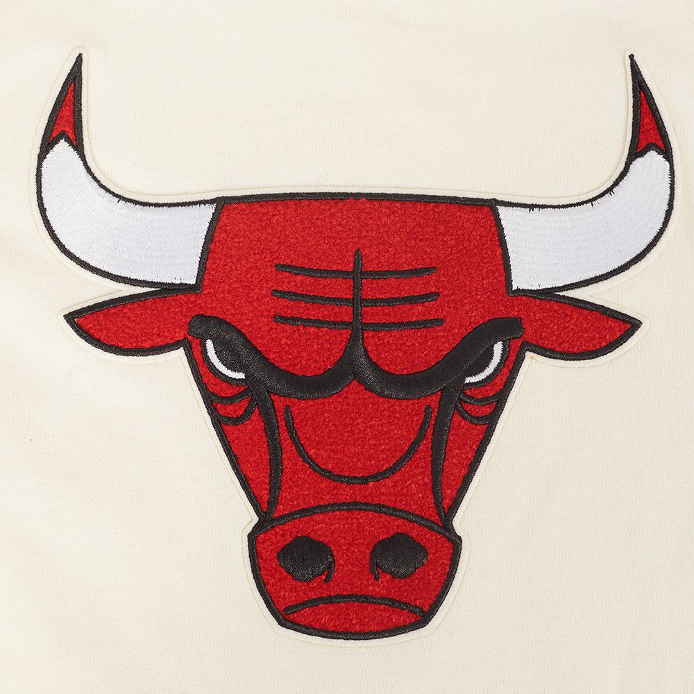 Pro Standard Youth Chicago Bulls Retro Classic T-Shirt product image