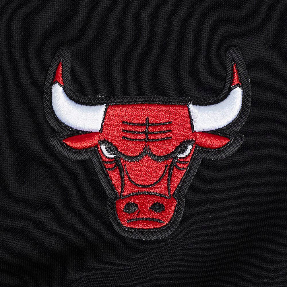 Pro Standard Women's Chicago Bulls Black Wingspan Fleece Crewneck Sweatshirt product image