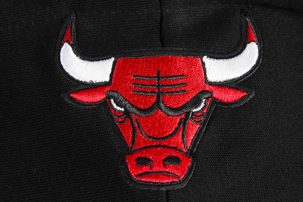 Pro Standard Women's Chicago Bulls Cropped Hoodie product image