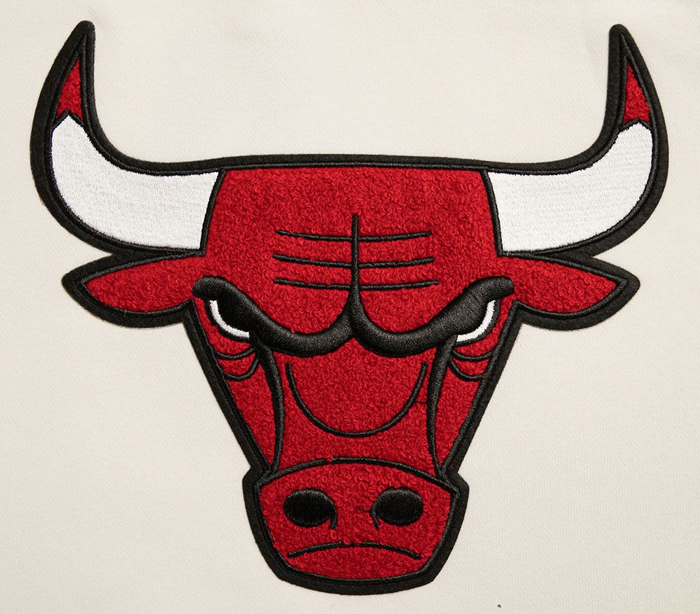 Pro Standard Women's Chicago Bulls Cropped Hoodie product image