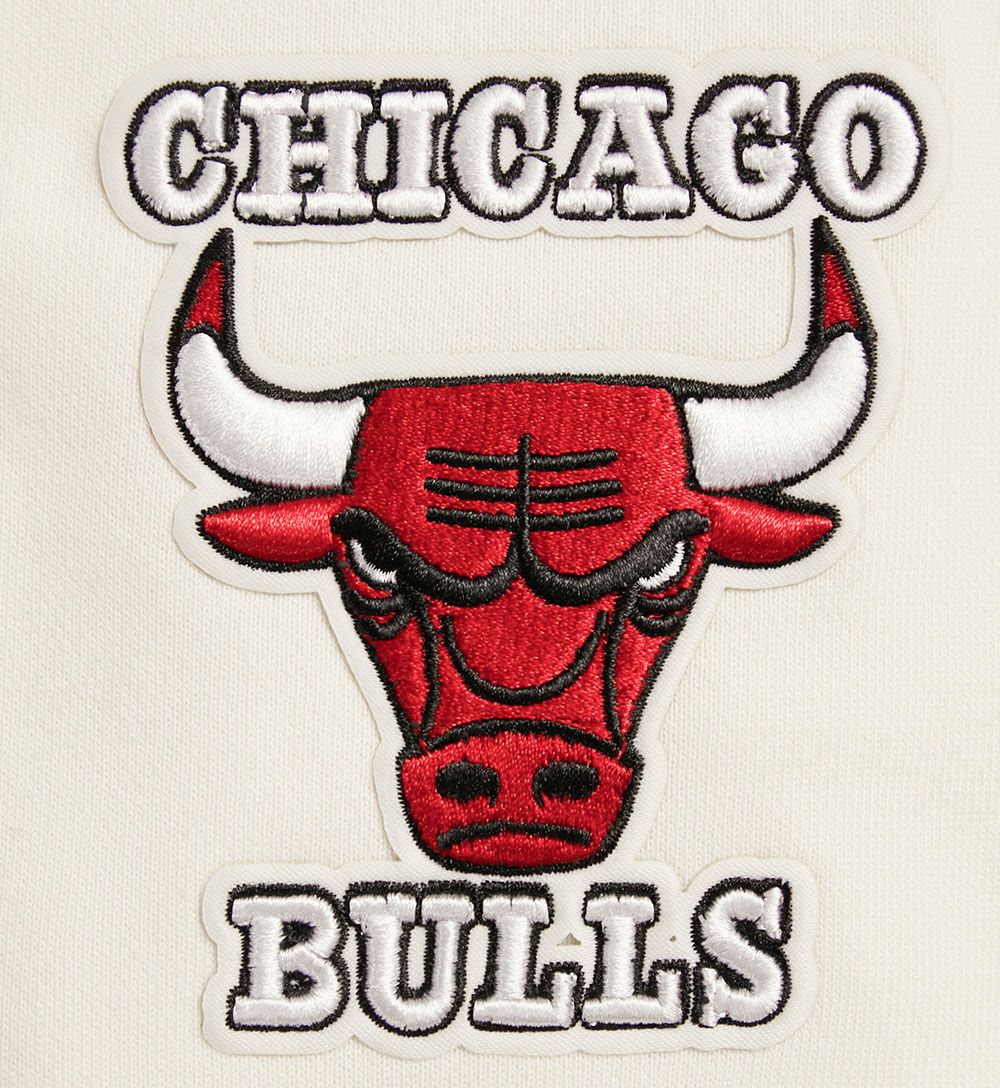 Pro Standard Women's Chicago Bulls Cropped Hoodie product image