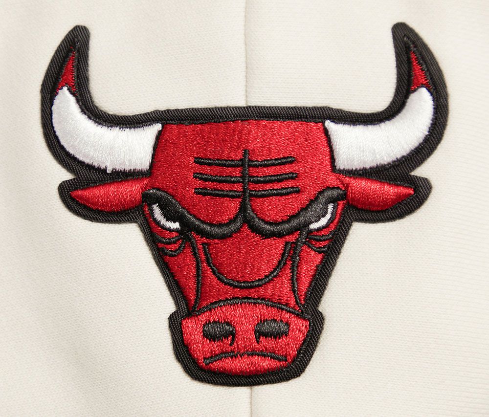 Pro Standard Women's Chicago Bulls Cropped Hoodie product image