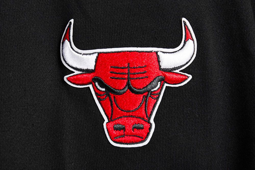 Pro Standard Women's Chicago Bulls Ribbed Crewneck Sweatshirt product image
