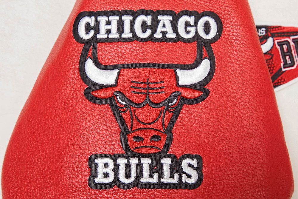Pro Standard Women's Chicago Bulls Varsity Jacket product image