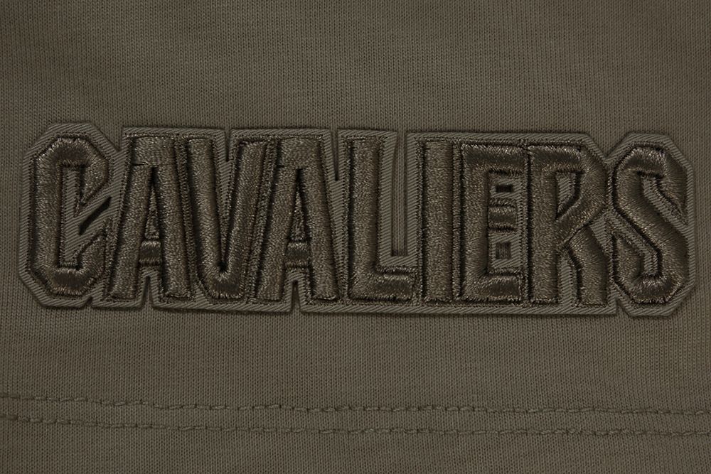 Pro Standard Men's Cleveland Cavaliers Taupe Neutral Drop Shoulder Short Sleeve T-Shirt product image
