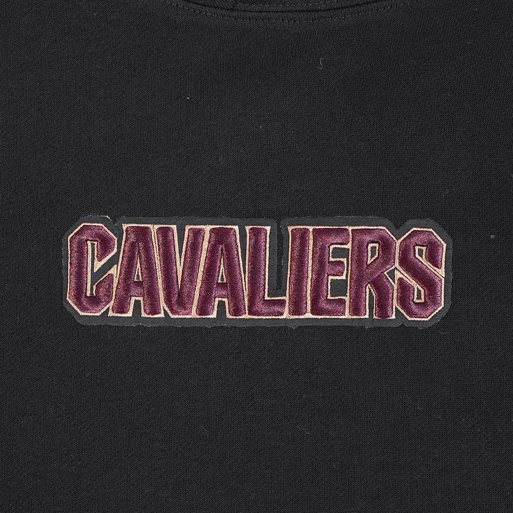 Pro Standard Men's Cleveland Cavaliers Black Wingspan Drop Shoulder Hoodie product image