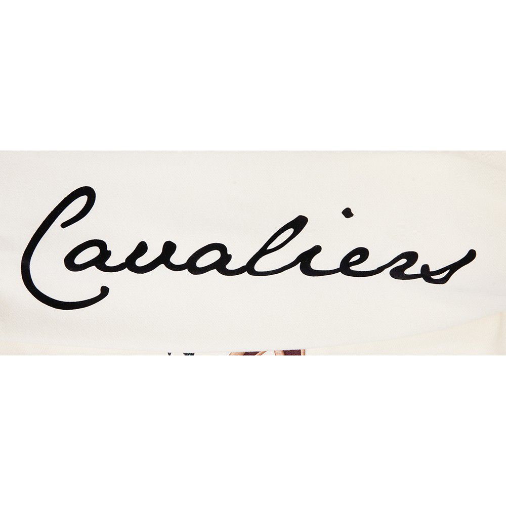 Pro Standard Men's Cleveland Cavaliers Off White Fire And Roses Washed Hoodie product image