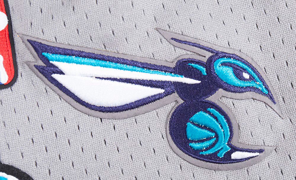 Pro Standard Men's Charlotte Hornets Black Script Tail Fleece Shorts product image