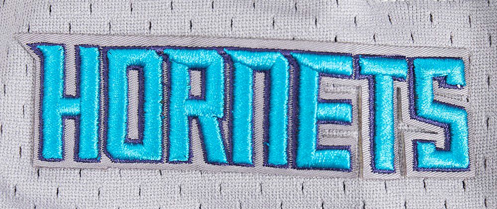 Pro Standard Men's Charlotte Hornets Black Script Tail Fleece Shorts product image