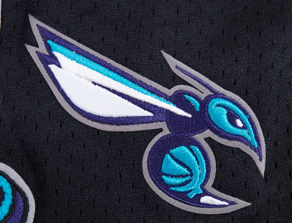 Pro Standard Men's Charlotte Hornets Gray Script Tail Fleece Shorts product image