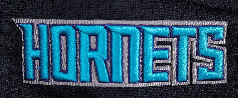 Pro Standard Men's Charlotte Hornets Gray Script Tail Fleece Shorts product image