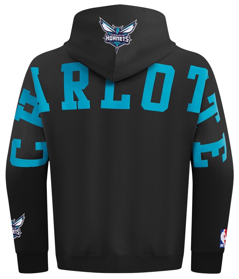 Pro Standard Men's Charlotte Hornets Black Wingspan Drop Shoulder Hoodie product image