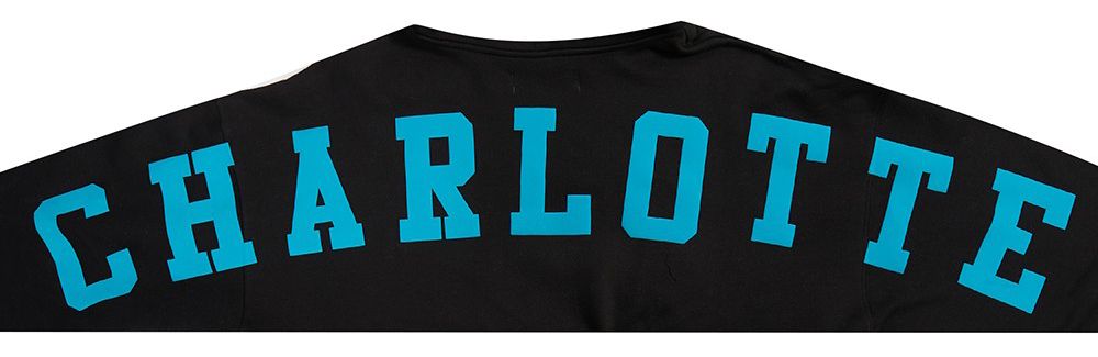 Pro Standard Men's Charlotte Hornets Black Wingspan Drop Shoulder Hoodie product image