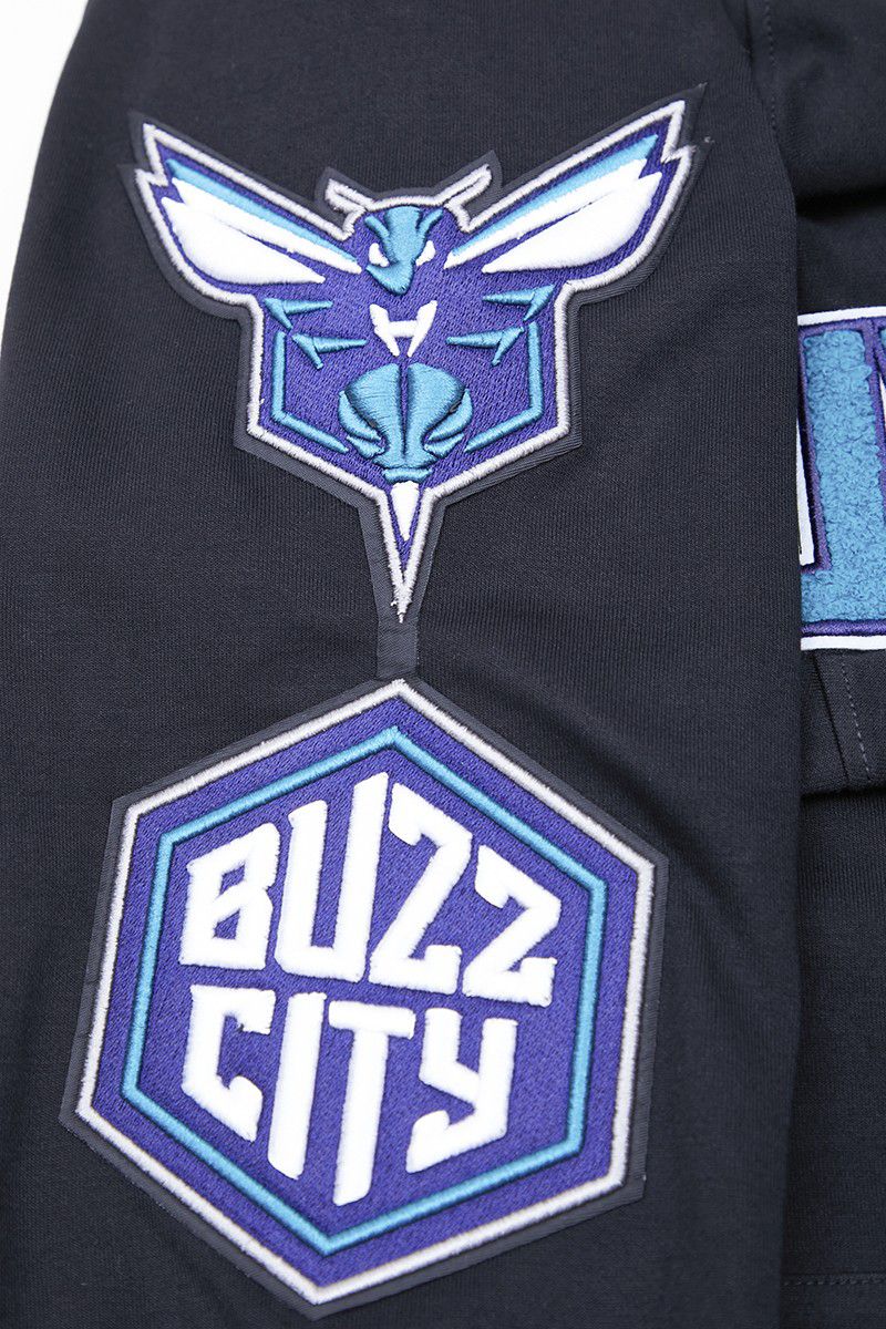 Pro Standard Men's Charlotte Hornets Black Classic Chenille Full Zip Hoodie product image